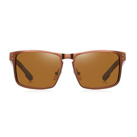 Thumbnail for Óculos de Sol Malden