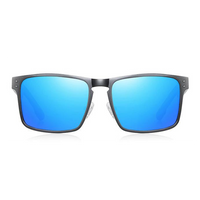 Thumbnail for Óculos de Sol Malden