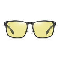 Thumbnail for Óculos de Sol Malden