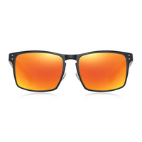 Thumbnail for Óculos de Sol Malden