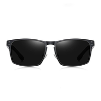 Thumbnail for Óculos de Sol Malden